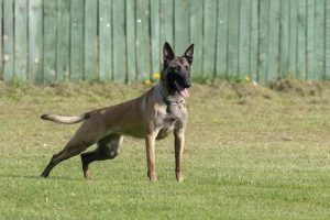 57504648 2174077182684563 7468696524264833024 n