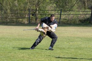 57726599 2174080569350891 7128969971270418432 o