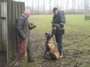 577406 272104622922519 49314230 n