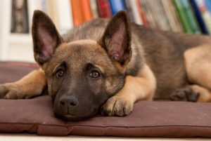 578411 10151532242949467 1995296967 n