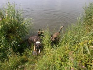 578719 267167016727775 231737384 n