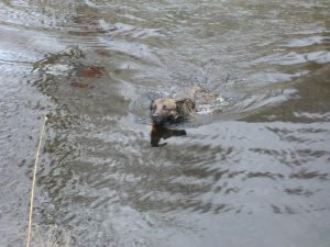 580407 10151565500784467 954941131 n