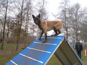 58042 287737641359217 717019707 n