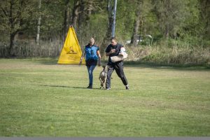 58379300 2174077136017901 3389962414798667776 n