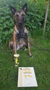 60090844 693611561073080 7173388106433822720 n 1