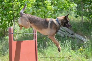 602785 112935465552065 1370644304 n qadir