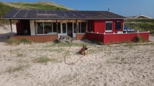 60349980 2372226999767967 8291729442066137088 o