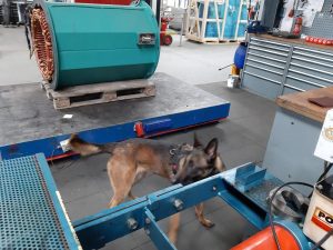 60359011 10206255849632961 3126852628051394560 o