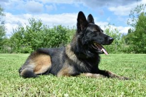 60500088 807072993011472 3702731240487518208 n