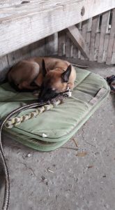 60652066 182909132624329 6558140384948518912 n