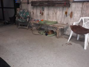 60721527 1342503942563324 7991619456956628992 n