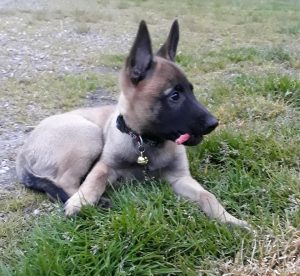 60787780 2328859257371329 1228147642047922176 n