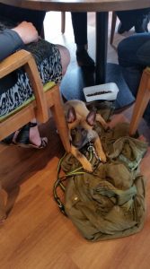 60937456 388721815319505 8028226206249779200 n