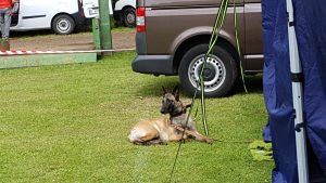 61386627 2224612724297675 4993375879372472320 o