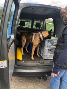 61501796 10206304978221145 852919503565094912 n