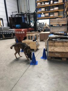 61555197 10206329091023950 8848800710540656640 n