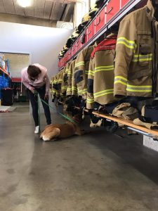 61936814 2281077341975168 8158909231999746048 n