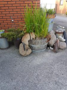 61967924 2338573819733206 8134925537618427904 n