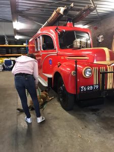 61997947 2281077718641797 6069906863724429312 n