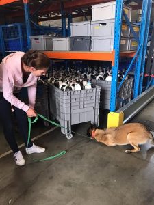 62099003 2281076975308538 830326893256376320 n