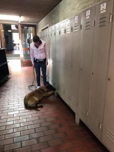 62102377 2281077521975150 1928821232258514944 n