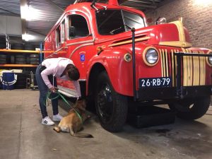 62169731 2281077668641802 7769119857303355392 n