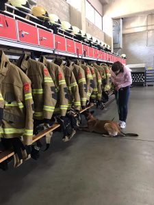 62211940 2281077211975181 1758176611015852032 n