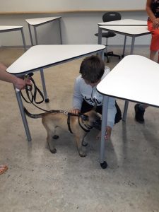 62231192 2346823038908284 723429323377213440 n