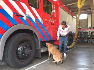 62236565 2281076855308550 4670833219946414080 n