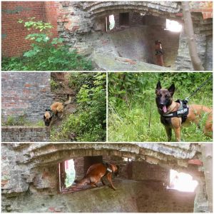 62307141 10218961726618684 4602559638125150208 n 1