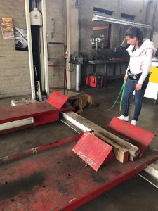 62340099 2281077585308477 1063985745657593856 n