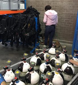 62370273 2281077098641859 7828772576473120768 n