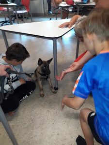 62407578 2346822945574960 7437085625095815168 n