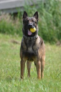 64234 112934845552127 504011073 n qadir-1