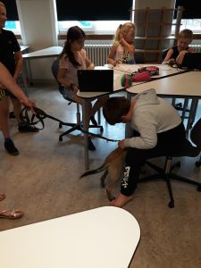 64345046 2346822908908297 6762404811888394240 n