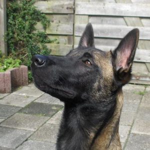 64427 342658469178629 373234458 n