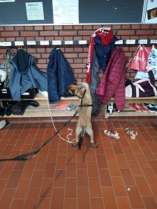 64619473 2346822852241636 3799432858653687808 n