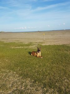 64763981 873897239677860 6587571588214816768 n