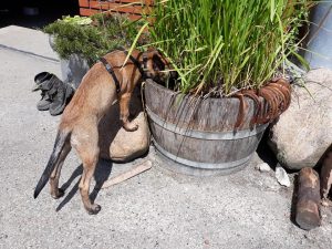 64898706 2350302478560340 6310863600000958464 n