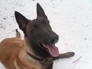 64968 248959198570395 259801682 n