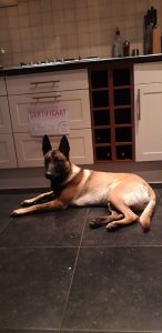 65500881 1865679216909940 5654185545941647360 n