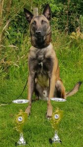 66648997 733266560440913 3251079862688940032 n