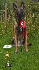 66774559 732541867180049 694729054825218048 n