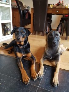 67078621 1884689515008910 8106433124008722432 n