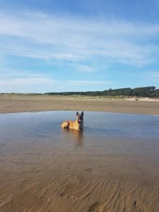 67289566 873897276344523 1959674327397826560 n