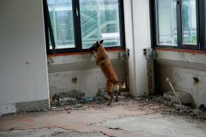 67354811 10219334643581375 9079639964156690432 n