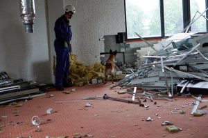 68268317 10219334644101388 8121923370238345216 n