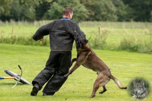 68360183 2522081574496999 8759693603871129600 o