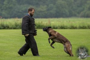 68419623 2522080811163742 2596511788623200256 o