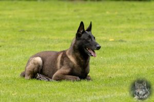 68440975 2522080794497077 2625862663116161024 o